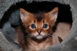 Abenteuer Kuschelhöhle