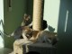 Thumbs/tn_IMG_0643.jpg