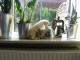 Thumbs/tn_IMG_0645.jpg
