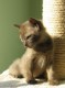 Thumbs/tn_IMG_0659.jpg