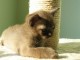 Thumbs/tn_IMG_0661.jpg