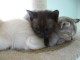 Thumbs/tn_IMG_0787.jpg