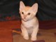 Thumbs/tn_Fabian_002.jpg