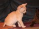 Thumbs/tn_Filou_001.jpg