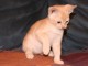 Thumbs/tn_Filou_002.jpg